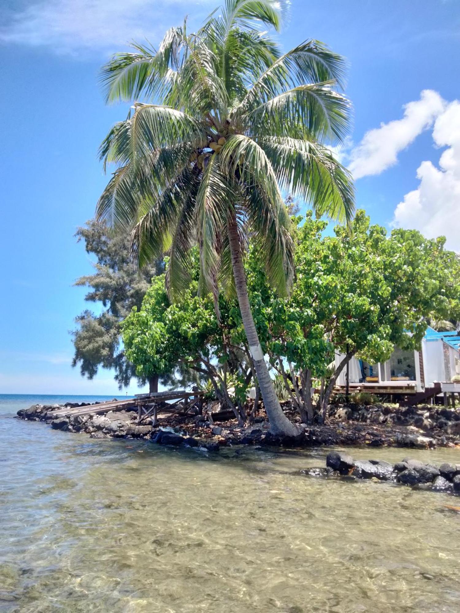 Bungalow Vue Lagon 180 Degre, La Maison Bleue Moorea Buitenkant foto
