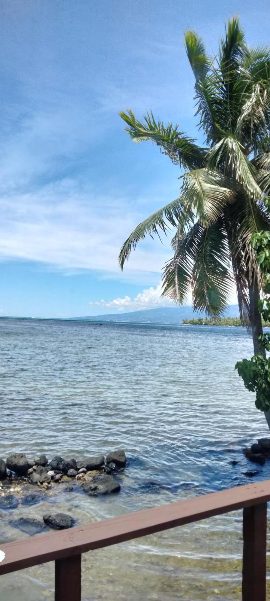 Bungalow Vue Lagon 180 Degre, La Maison Bleue Moorea Buitenkant foto